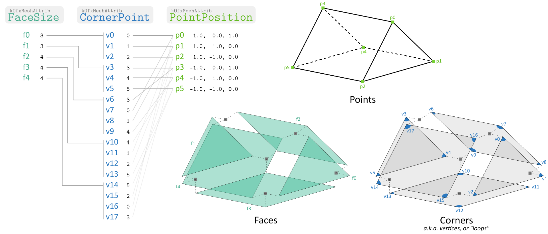 A mesh is at least defined by these three attributes. Corners are listed in the same order then faces, their number being given by the face size attribute.